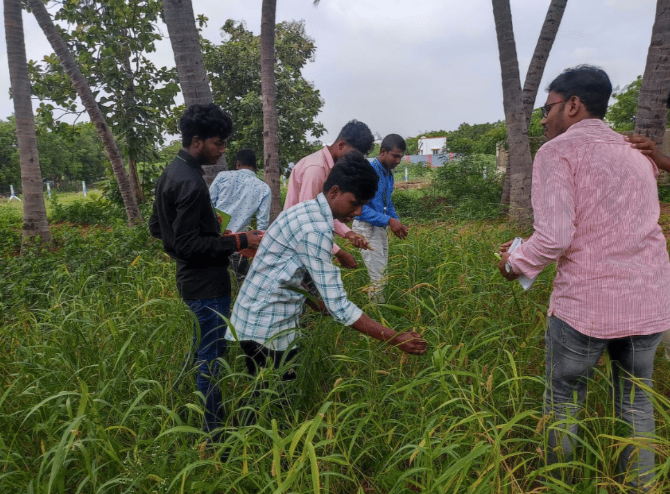 Sri Venkateswaraa University Ettayapuram Agricultural campus photo 4